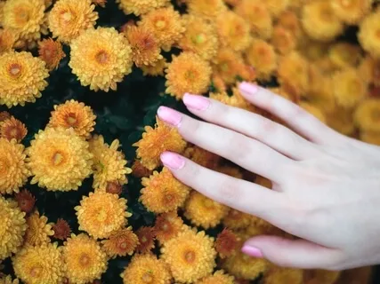 Manifesting Beauty & Abundance For The New Year