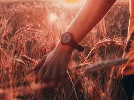 Cultivate Abundance & Manifest Your Dreams