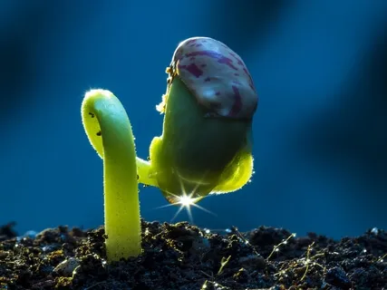 Meditation For Abundance & Love