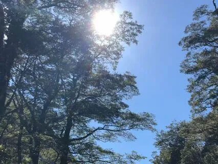 Meditation For Abundance And Success