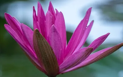 Meditation For Acceptance