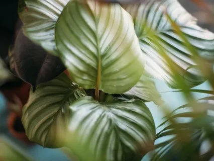 Meditation For Accepting Life