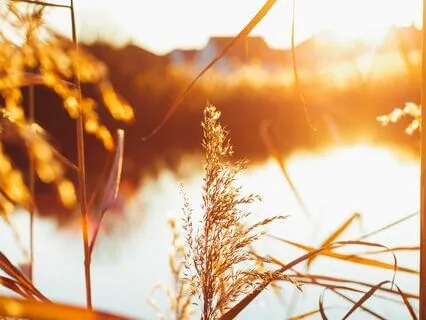 Meditation For Accepting The Process