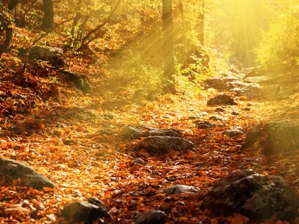 Step 5 - Meditation For Addiction Recovery