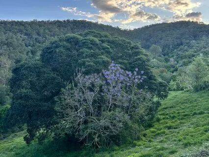 Meditation For ADHD With Dr Diana Korevaar