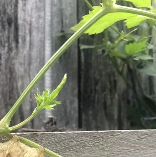 Meditation For After A Breakup