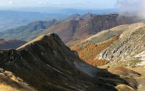 Meditation For Airport Anxiety 