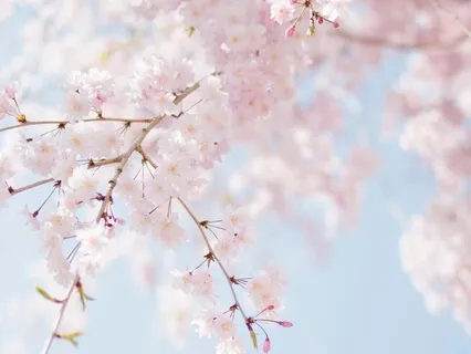 Meditation For Allowance And Acceptance