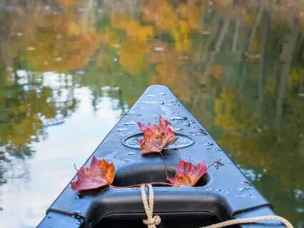 Meditation For Allowing What Is