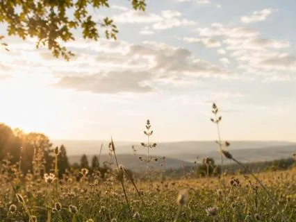 Meditation For An Overactive Mind