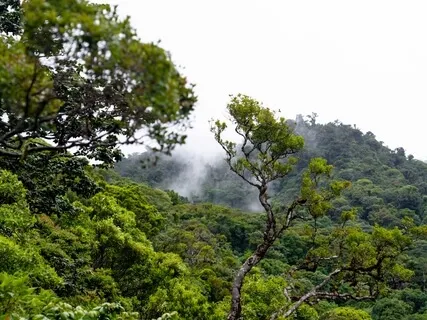 Meditation For Anchoring Self-Compassion