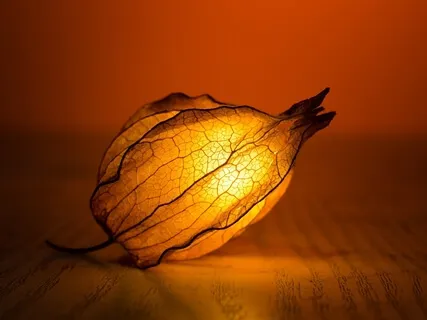 Meditation For Anxiety