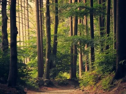 Meditation For Anxiety