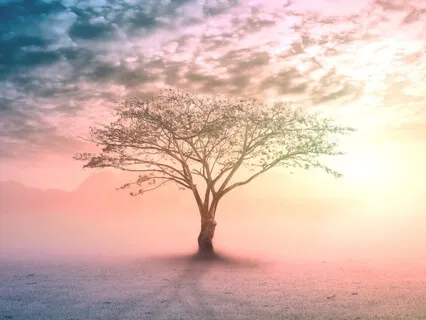 Meditation For Anxiety 