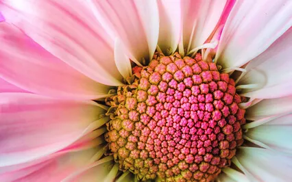 Meditation For Anxiety