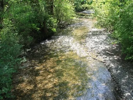 Meditation For Anxiety