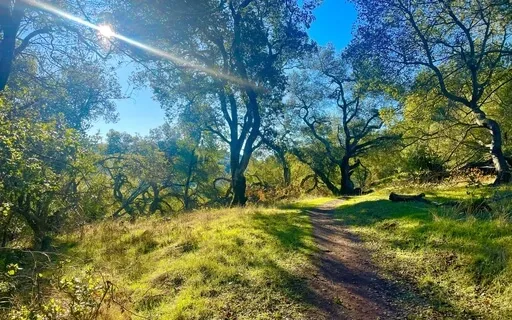 Meditation For Anxiety
