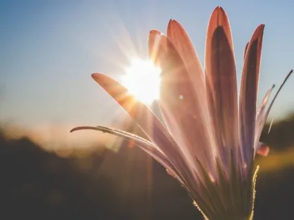 Meditation For Anxiety And Depression