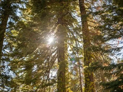 Meditation For Anxiety And Fear