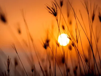 Eliminate Anxiety & Stress