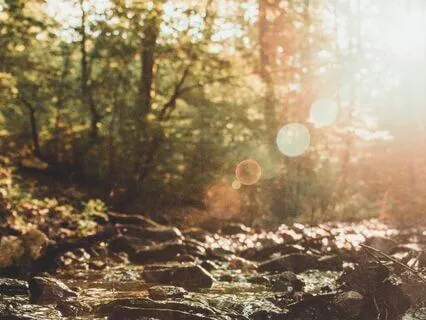 Meditation For Anxiety