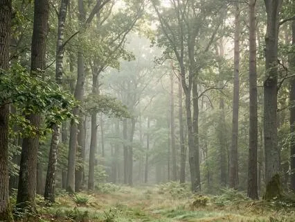 Meditation For Anxiety