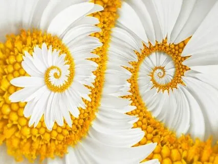 Cleanse Your Aura And Balance Your Chakra