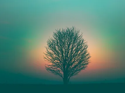 Meditation For Awareness & Acceptance Of The Present Moment