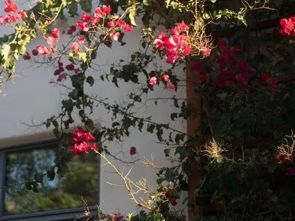 Meditation For Balance | Embrace Your Light And Shadow