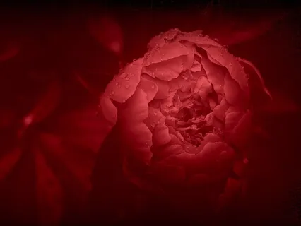 Meditation for Balancing the Heart