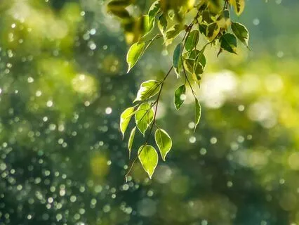 Meditation For Becoming Someone New