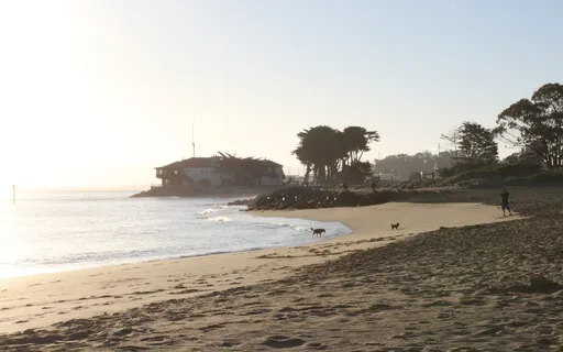 Meditation For Before A Presentation