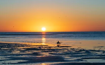 Meditation For Beginners