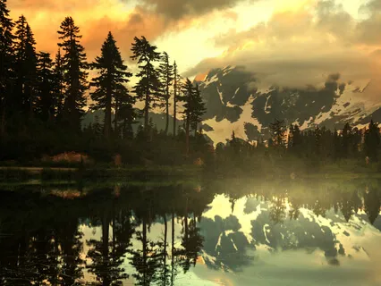 Heart Chakra Sound Meditation - Note F (Compassion, Love & Beauty - Transformational Energy)