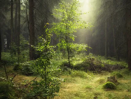 Solar Plexus Chakra Sound Meditation - Note E (Expression Of Will, Personal Power & Mental Abilities)