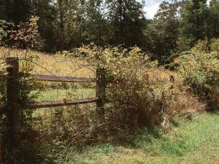 Meditation For Beginners To Calm A Busy Mind