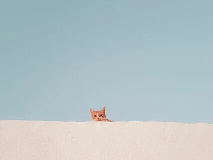 Meditation For Being With Resistance