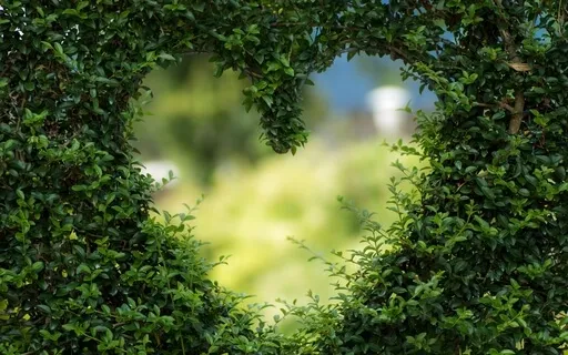 Meditation For Belly Love