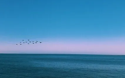 Meditation For Better Sleep