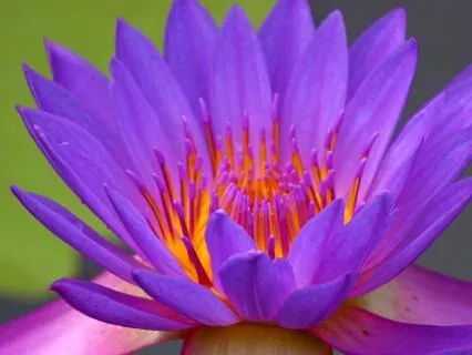 Meditation For Building Self-Compassion