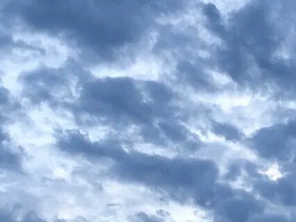 Meditation for Calm and Ease