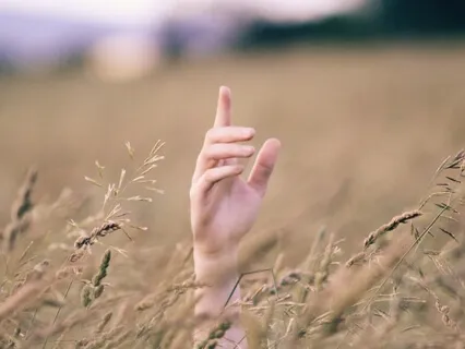 Meditation For Calm & Grounding