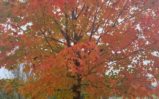 Meditation For Calm In Times Of Uncertainty & Change