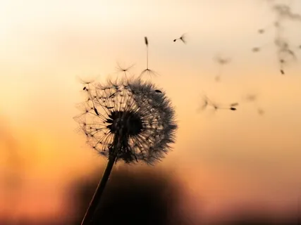 Practice For Calming Fear And Anxiety