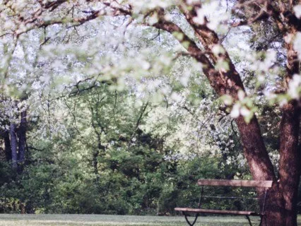 Meditation For Calming The Nervous System