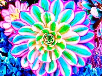 Meditation For Calming Your Nervous System 