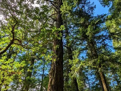 Meditation For Chakra Harmonization And Relaxation