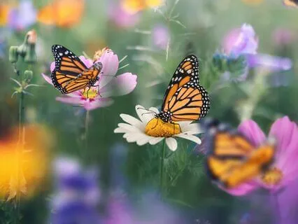 Meditation For Change