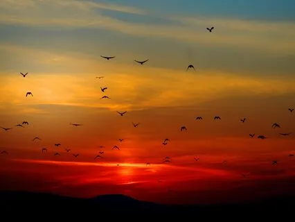 Meditation For Chronic Pain