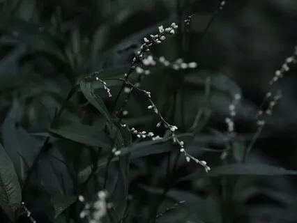 Relieve Chronic Stress For Better Sleep